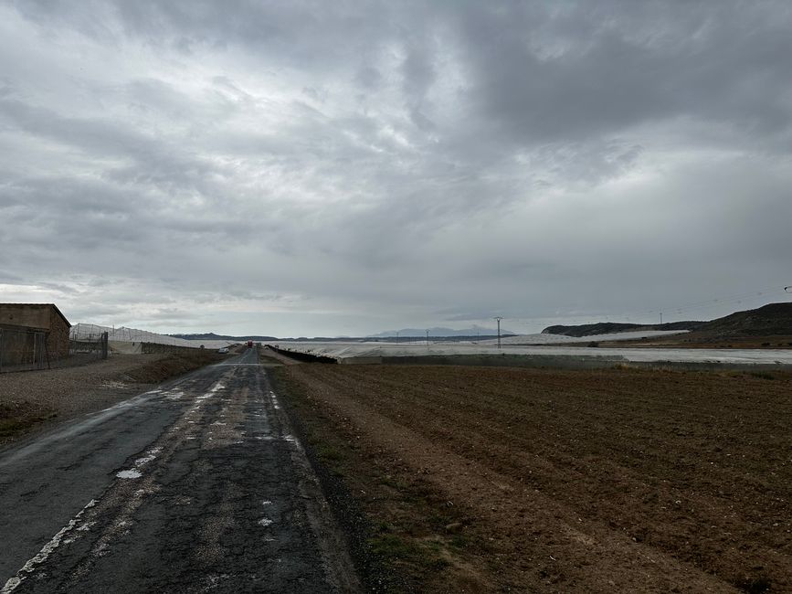 The Rabbit Track