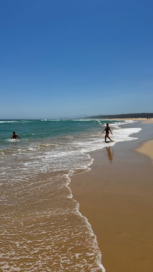 De la safari al mar