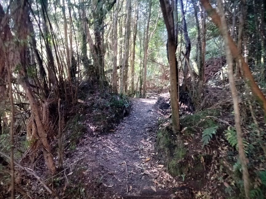 Viaggio in Patagonia Parte 3: Traghetto per Chaoten + Parco Nazionale Pumalin
