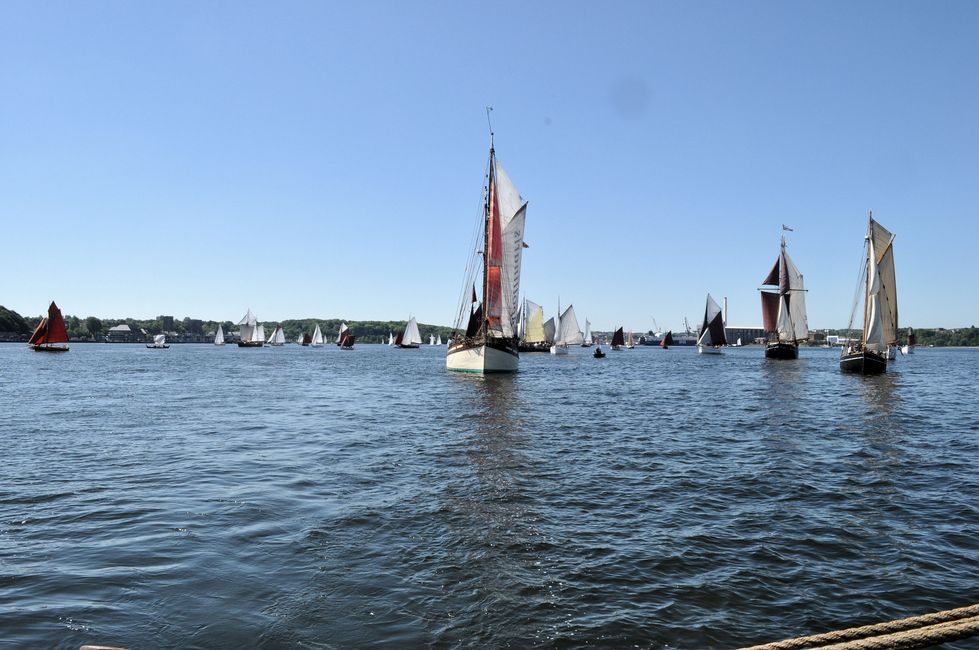 Fahrt zur Rum-Regatta in Flensburg 2017