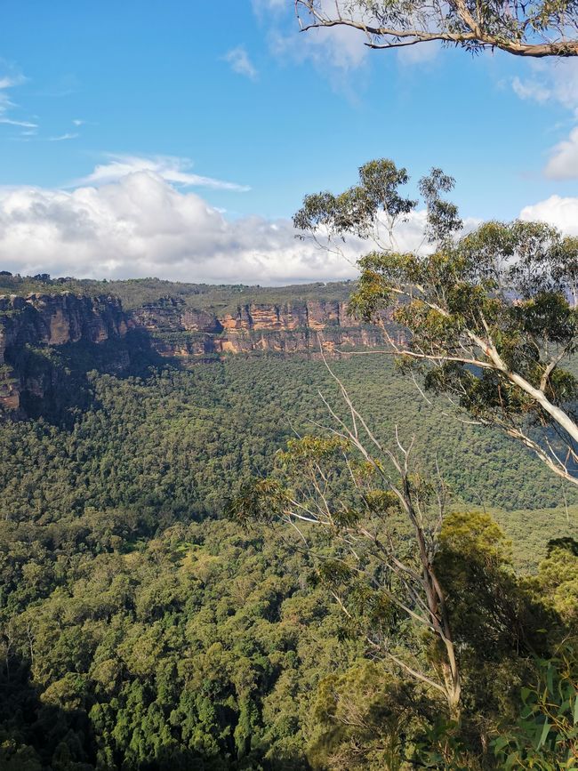Sydney e le Blue Mountains