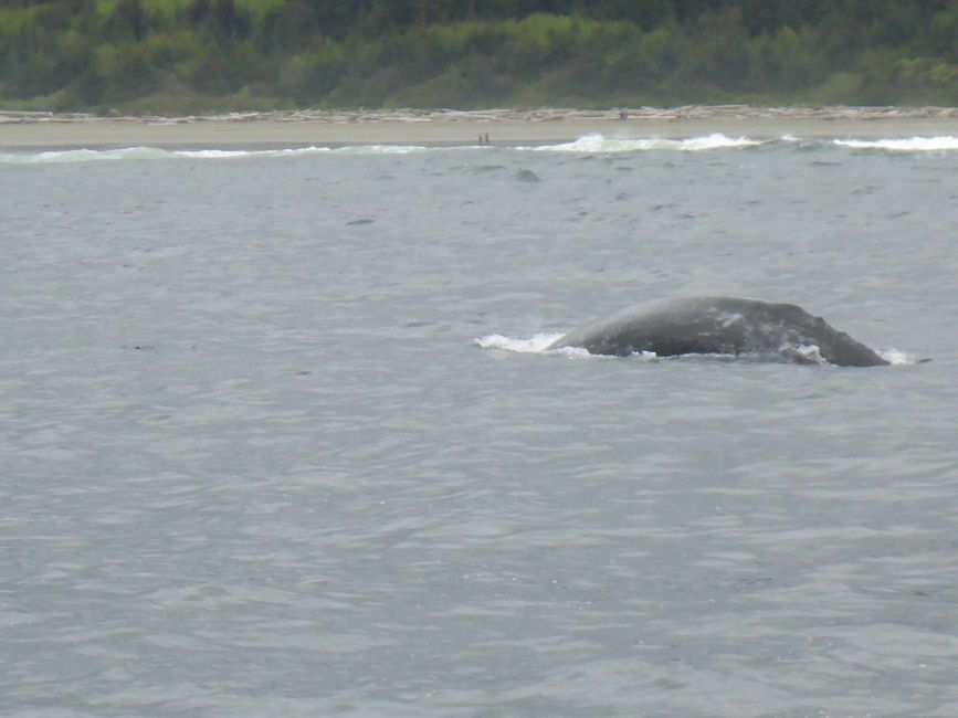 Western Canada