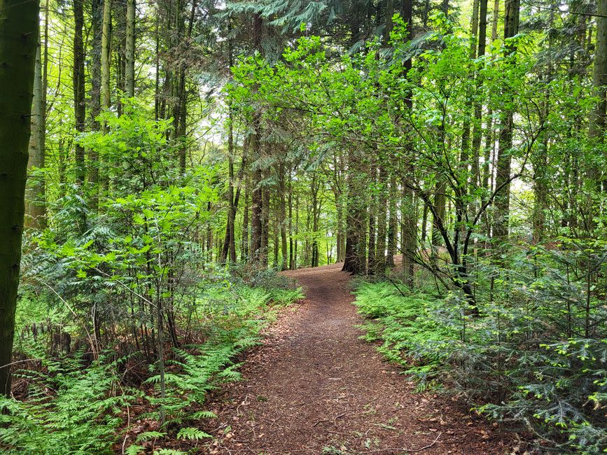 Hike on Mors