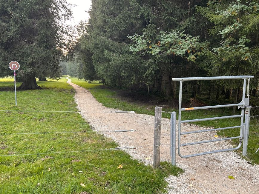 Ein reitertaufgiches Weidetor