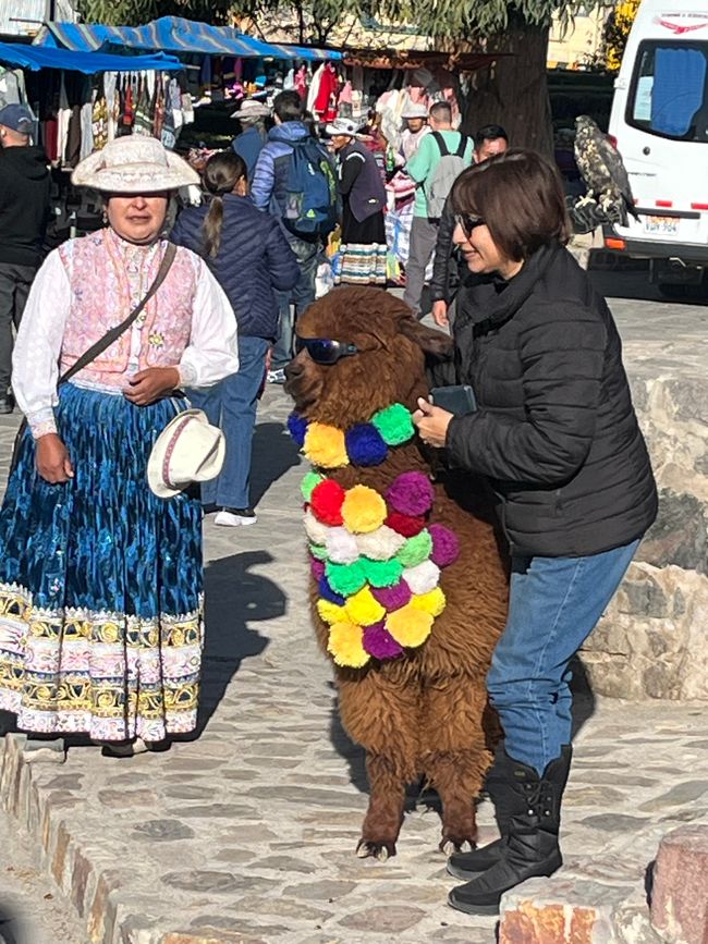 Touri-Spaß auf le chemin du Canyon de Colca