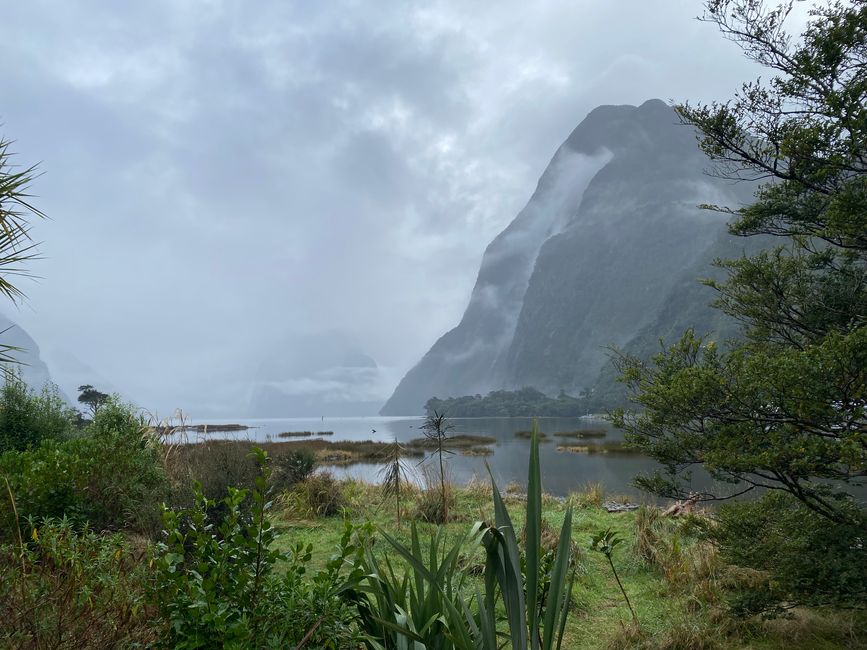 Road trip to Milford Sound