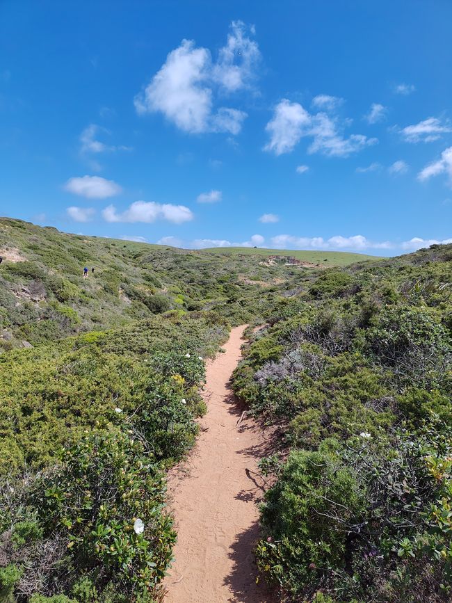 Sagres -> Vila do Bispo
