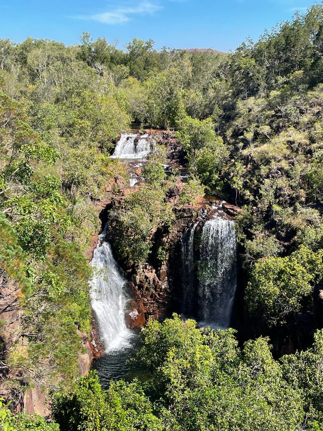 Florence Falls depuis le point de vue