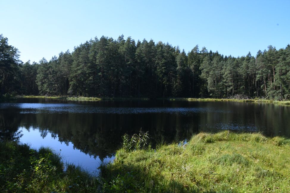 überall Seen und Natur pur