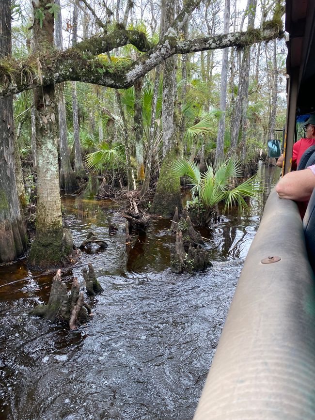 Floridatraumtour Giorno 7