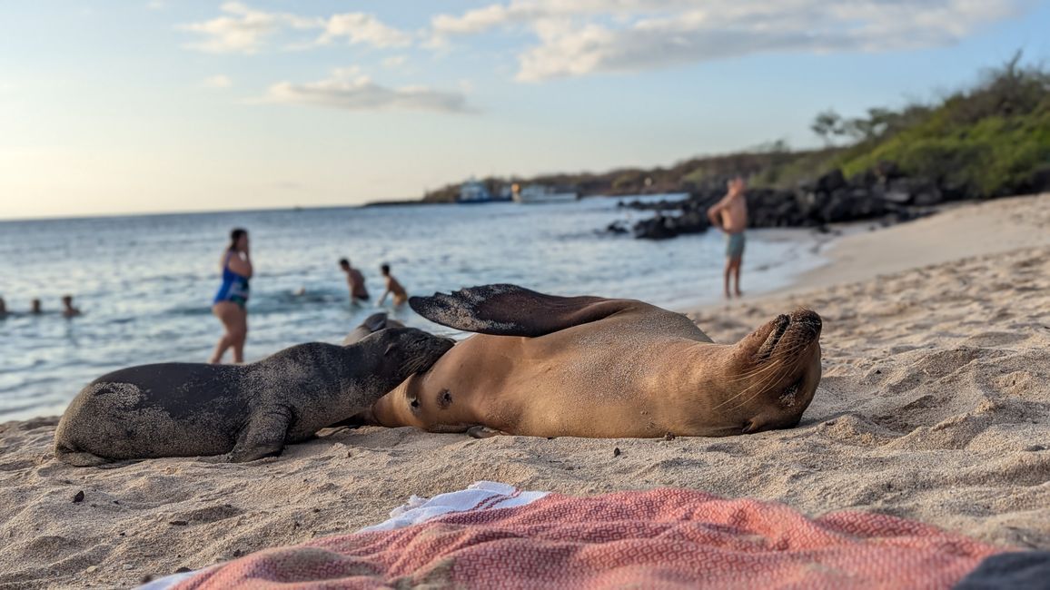 Galapagos Islands