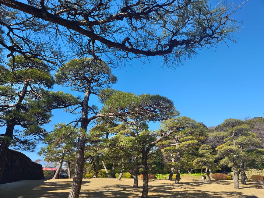 Vom Kaiser zu Pokémon – Tokio in allen Facetten