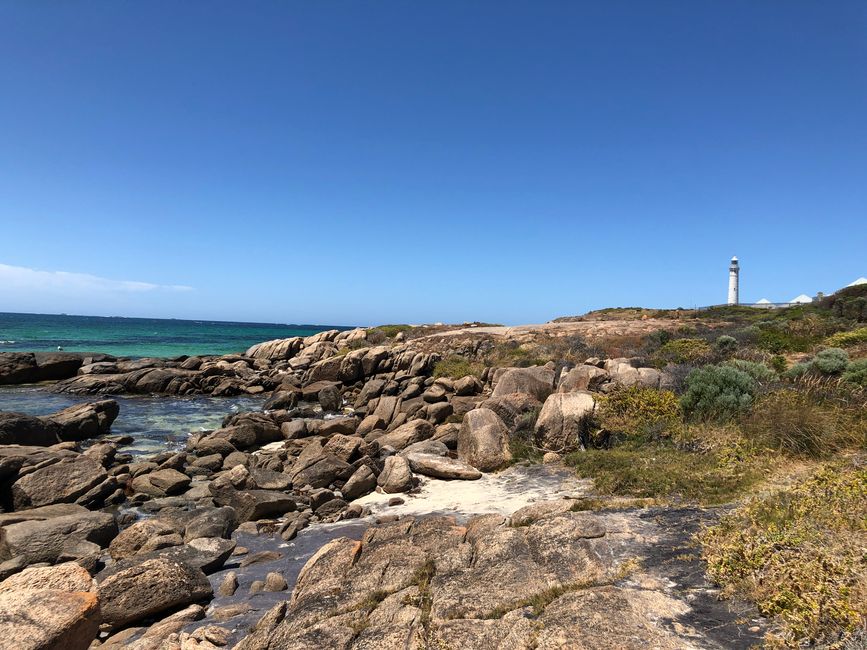 Tour ad Augusta per il Faro Cape Leeuwin