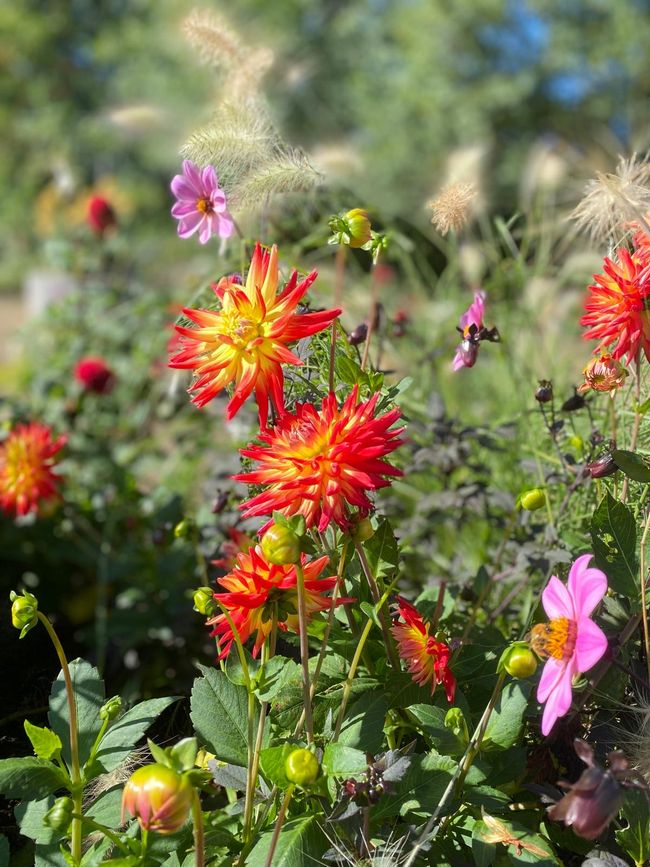 After the Spreewald came the high of excitement