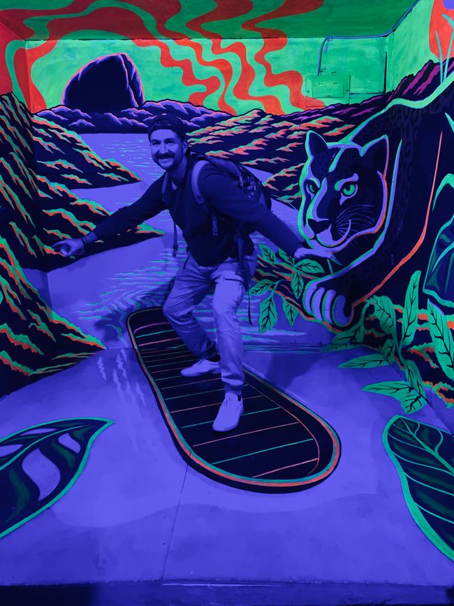 Foto di surf in un negozio al neon 499