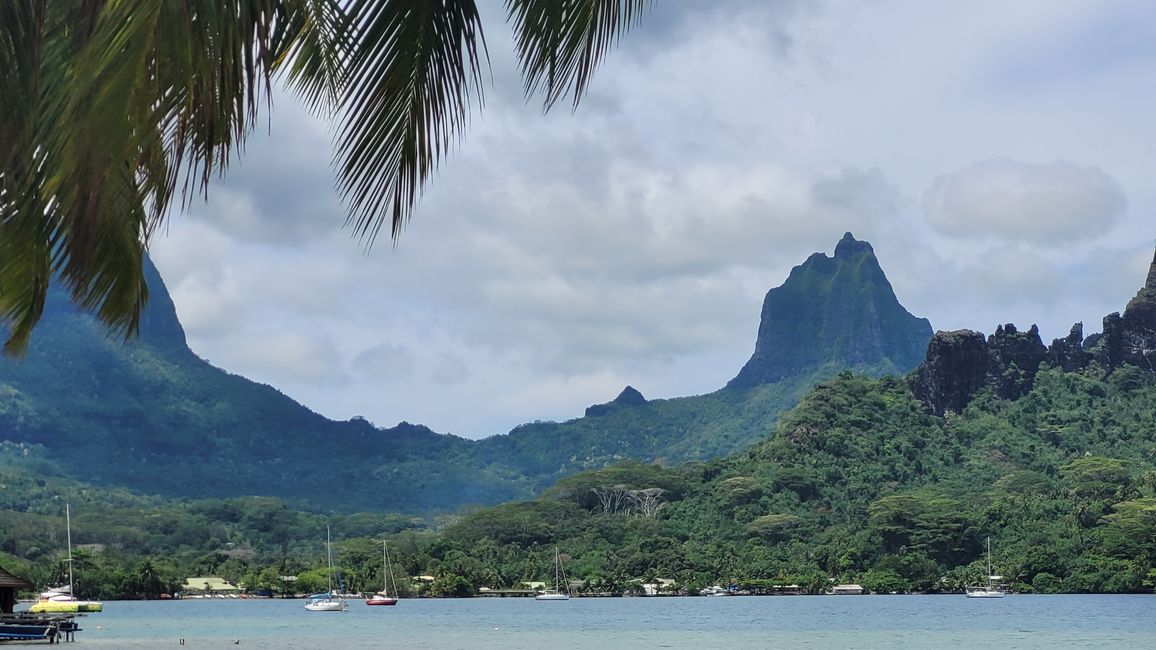 Mo’orea – impresionantes cumbres montañosas nos reciben