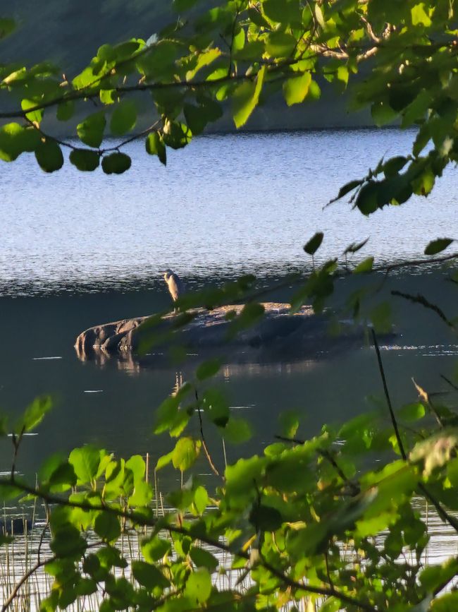 Schweden 7. Tag - Biltema, Asnen Nationalpark
