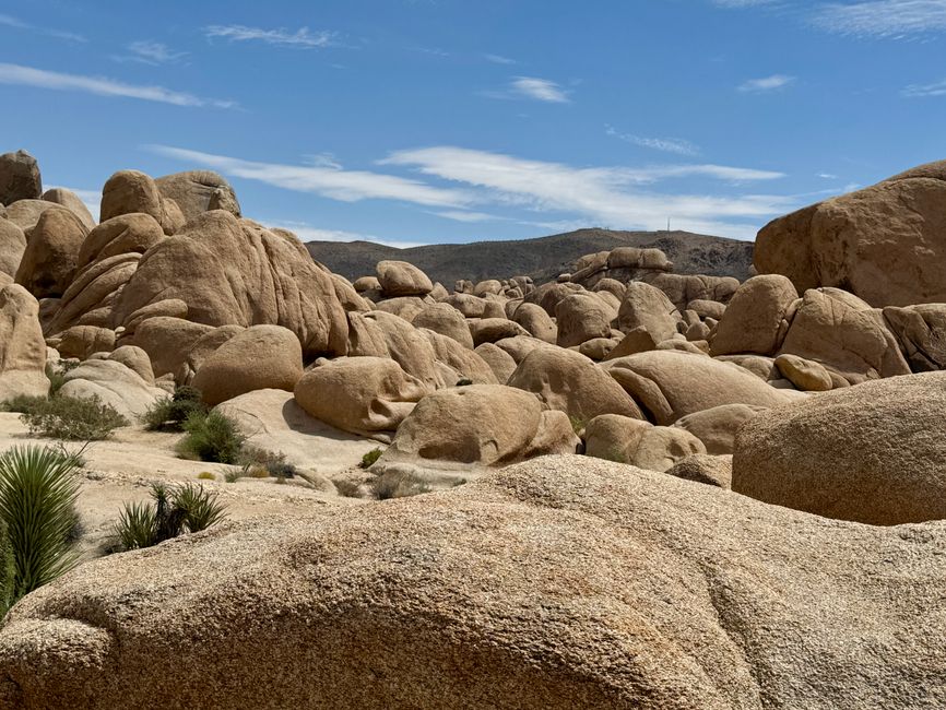 Joshua Tree National Park – Arch Rock & Skull Rock