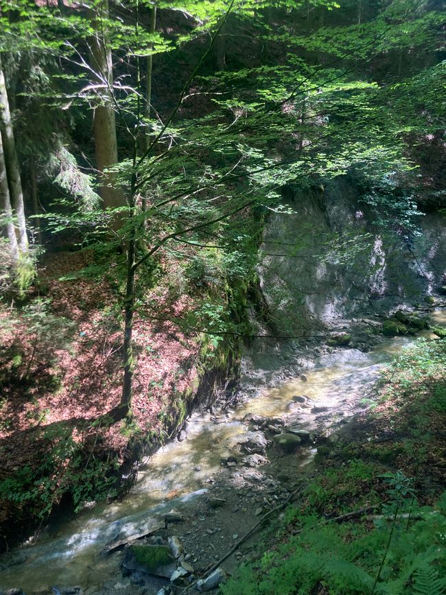 Das Wandern ist des Fischers  Lust-Ellegghöhe