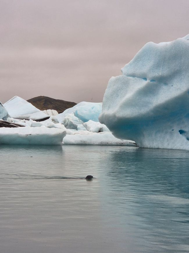 Among ice giants🥶