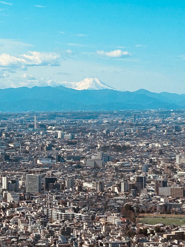 Zpátky v Tokiu - 14.den