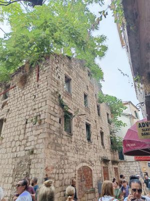 2025 Kotor Hop on Hop off