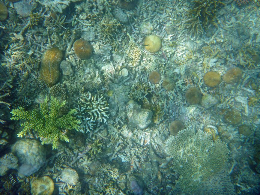 Misool, Westneuguinea, Indonesien, Insel-Ausflug