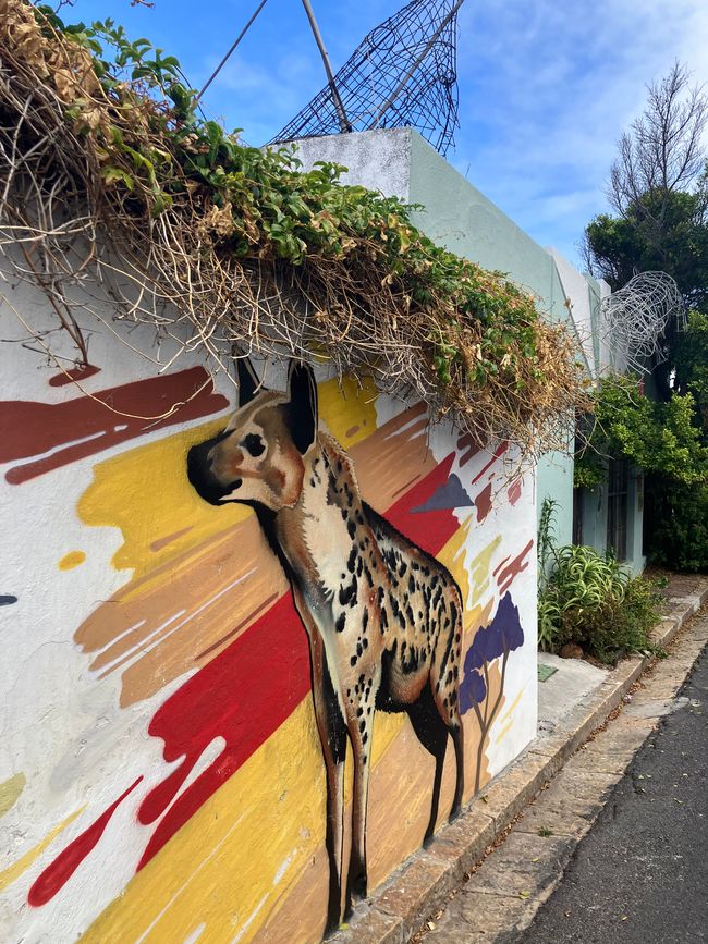 Kap-Halbinsel und Stellenbosch
