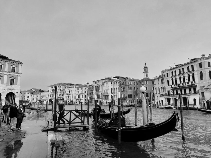 Venice, why?