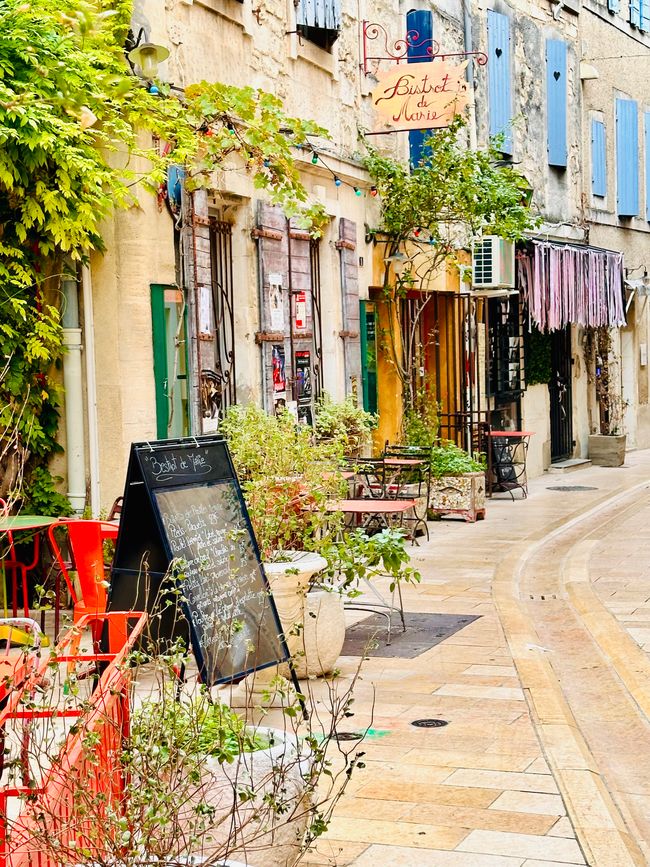 Saint-Rémy-de-Provence, les Alpilles und Salon-de-Provence