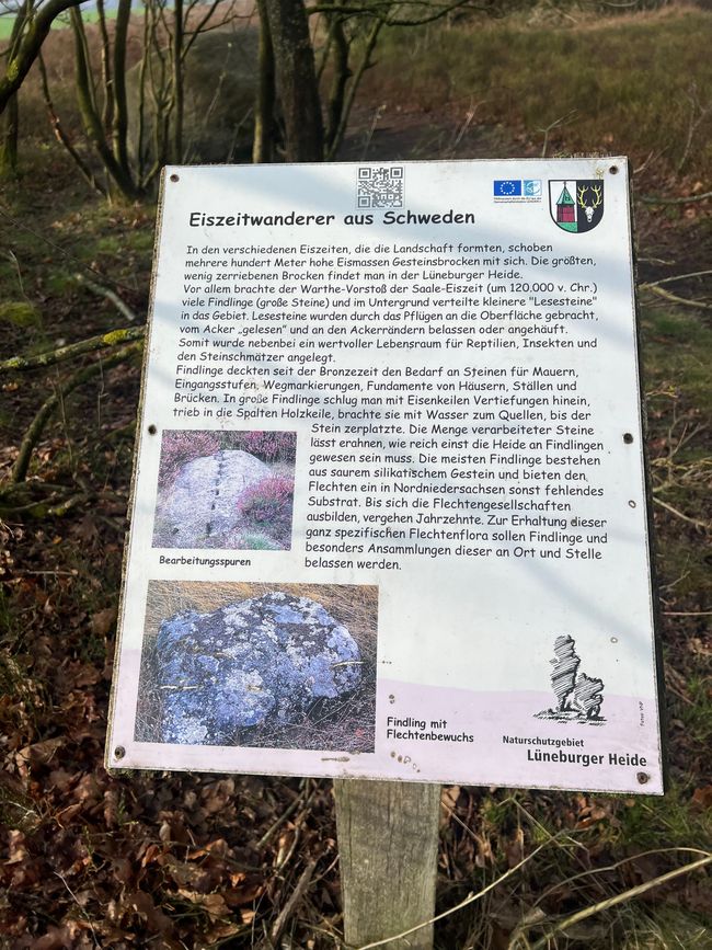 09 vers Lauenburg