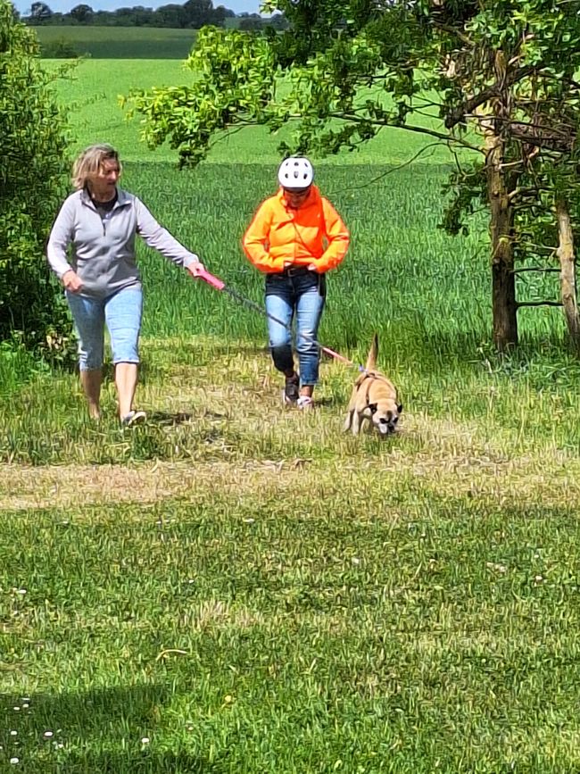 Der erste Tag