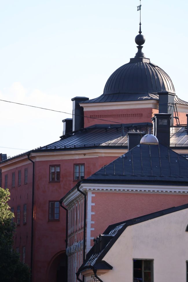 Svezia o anche Survival Camp