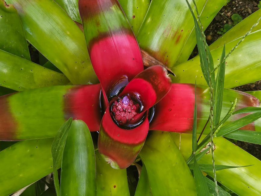42. Jour Pape'ete, Tahiti 05.01.2026