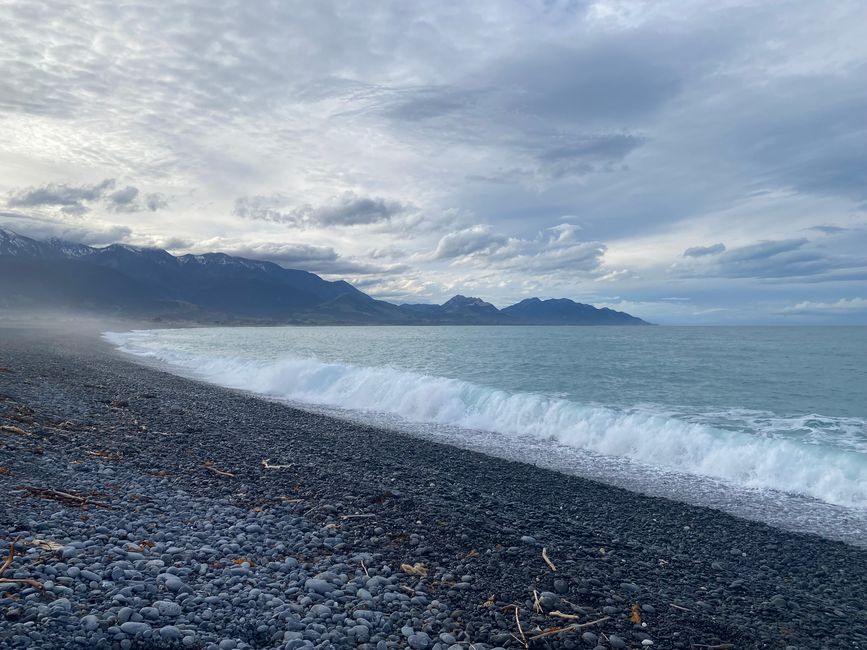Nelson, Queen Charlotte drive, Picton, Kaikoura, Blenheim