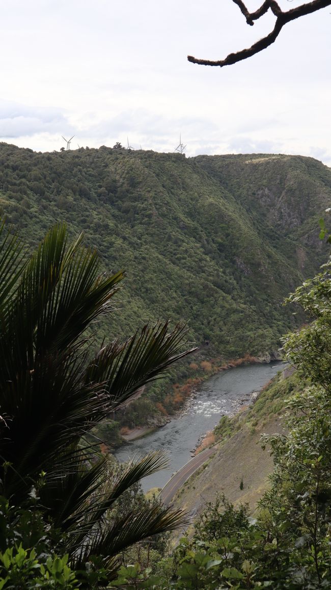 Manawatu Gorge