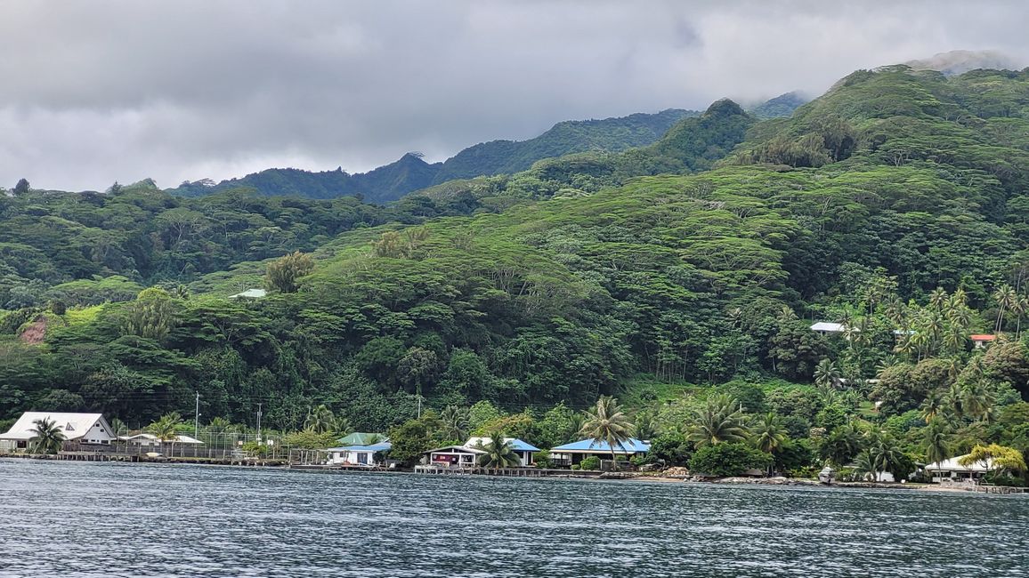 Raiatea – Along the Fa’aroa River