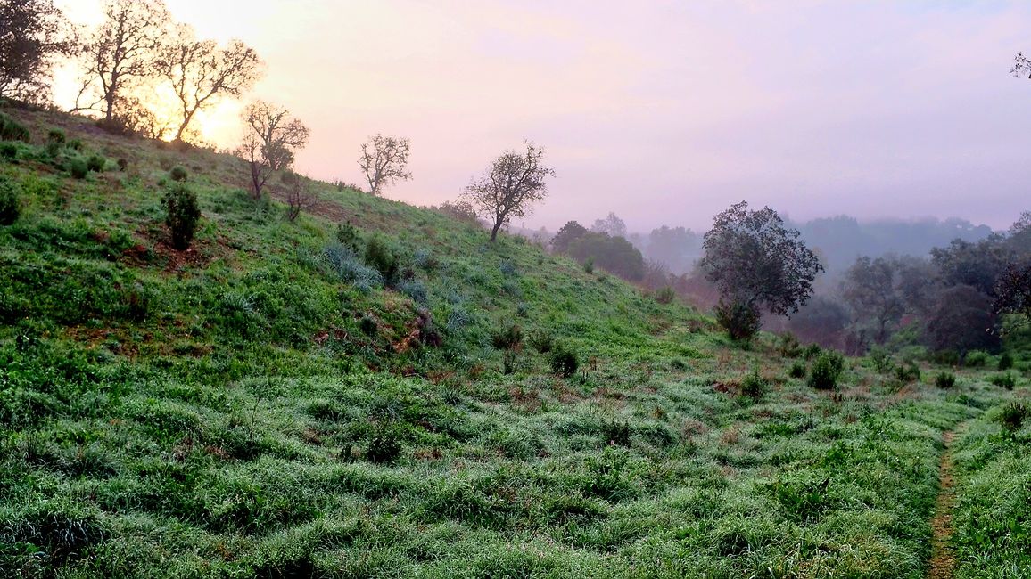 Im Alentejo