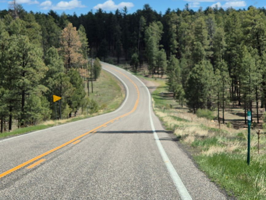 Im Kaibab National Forest