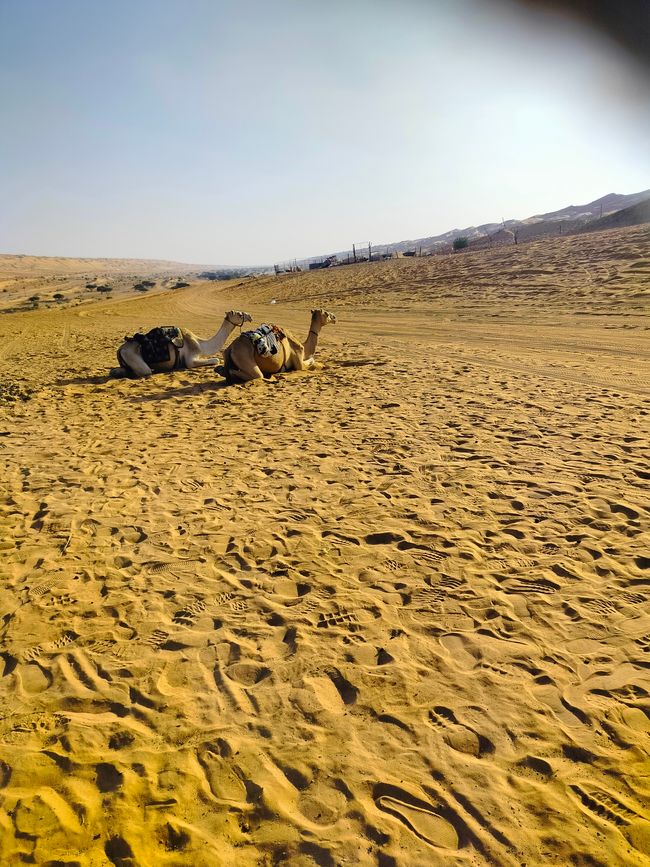 Dunas de Wahiba