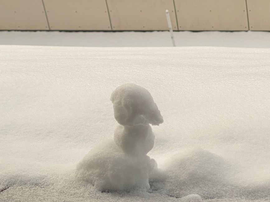 Meine Schneefigur hat sich über Nacht verändert