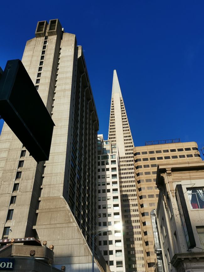 San Francisco - Metrópoli en California
