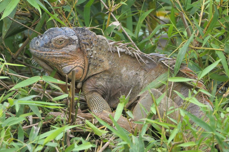Costa Rica 2025