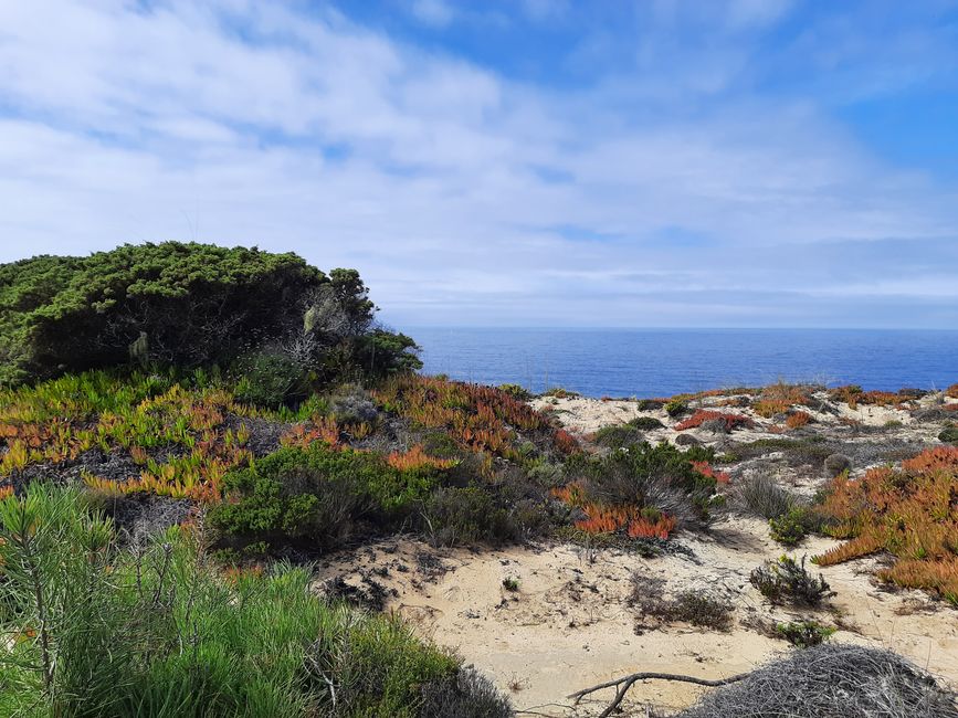 6th stage: coast, meadows and forests