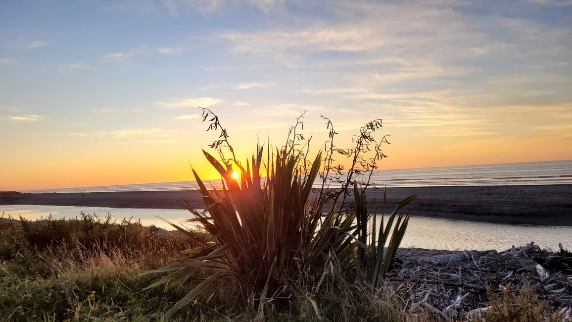 29.Januar-27.Februar 2025 Neuseeland
14.Februar