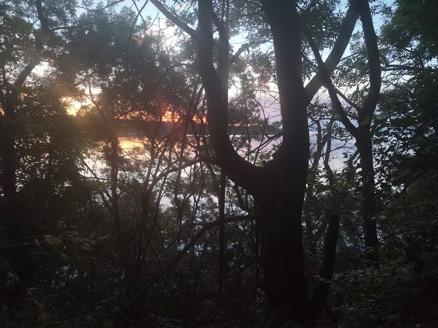 Aussicht aus der Hängematte