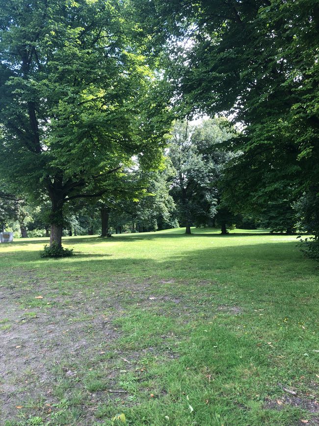 Stadtpark an der Oker