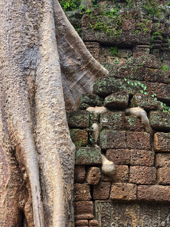 Ta Prohm