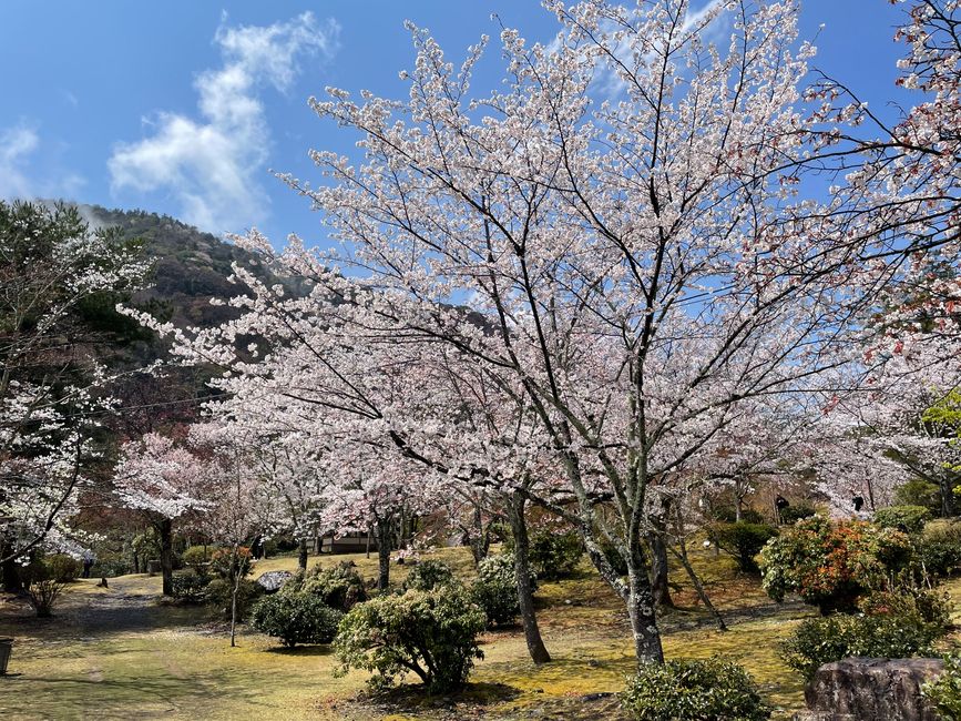 Vista de Kioto