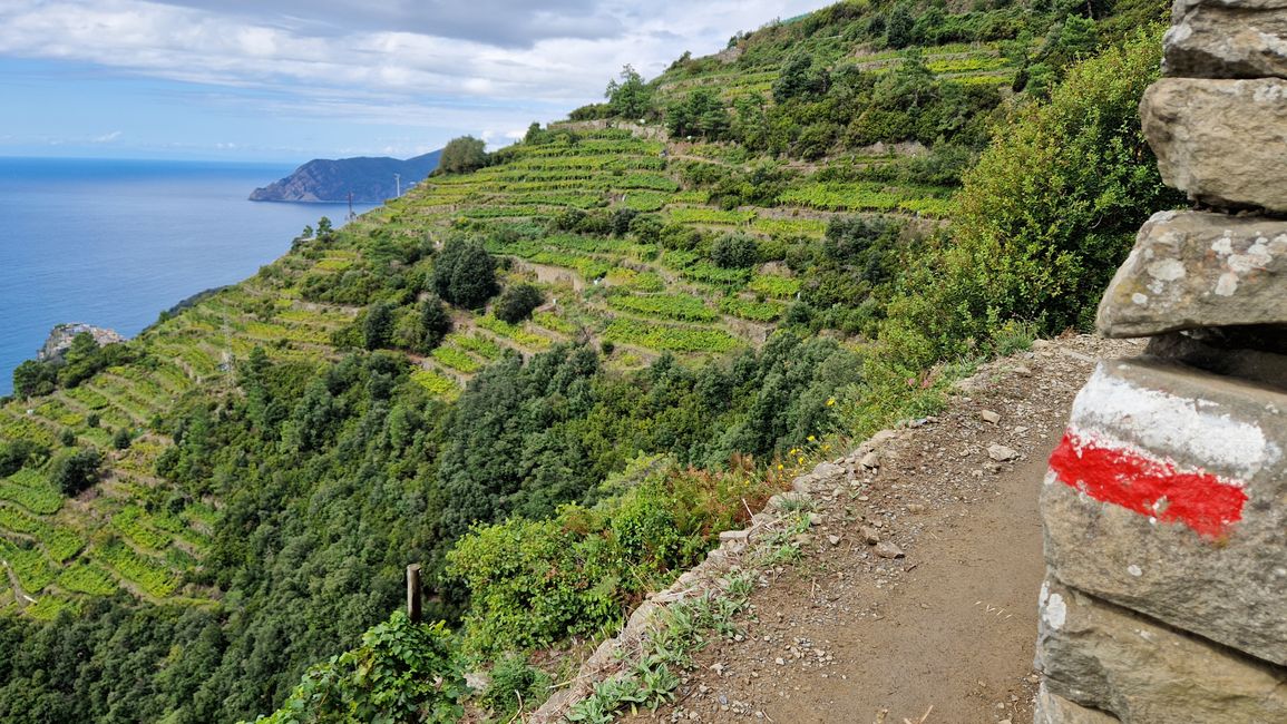 Levanto 2025年9月22日 - 9月26日